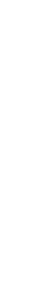 紀州徳川家のはじまりからずっと。